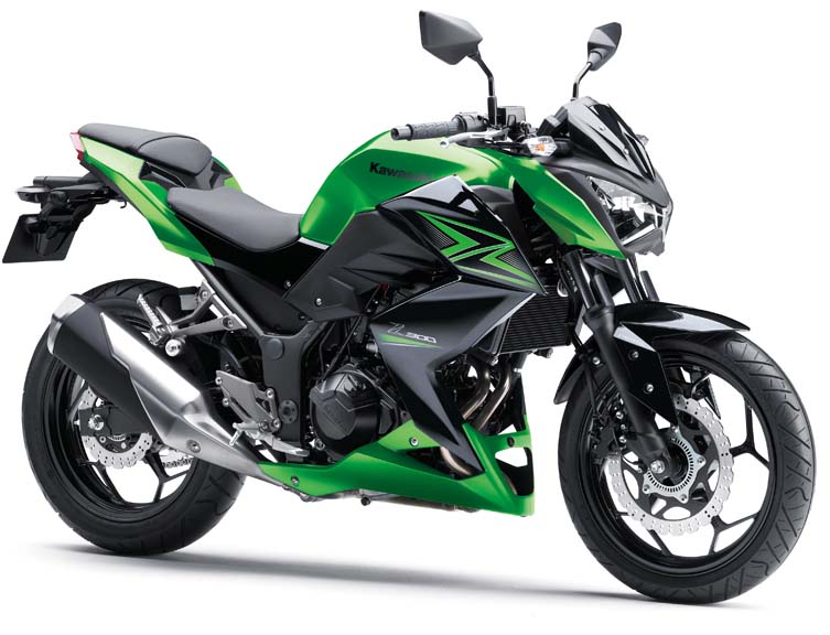 2015 - 2016 Kawasaki Z 300